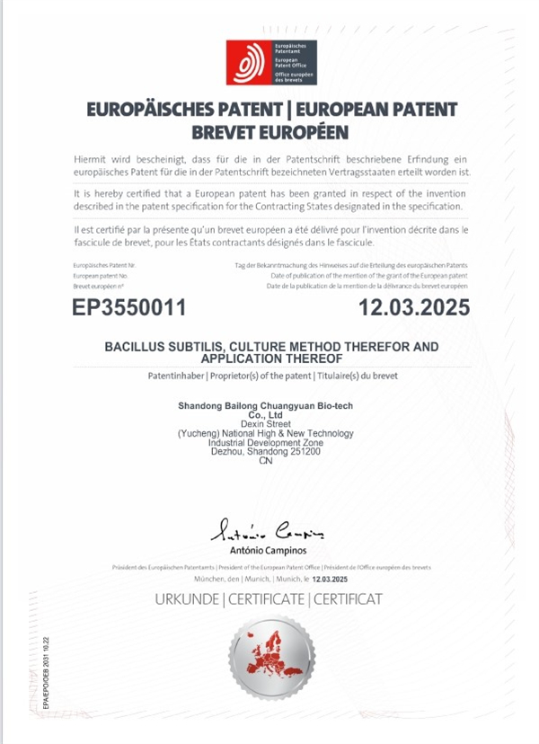 1744190825725084.jpg 圖片1.jpg