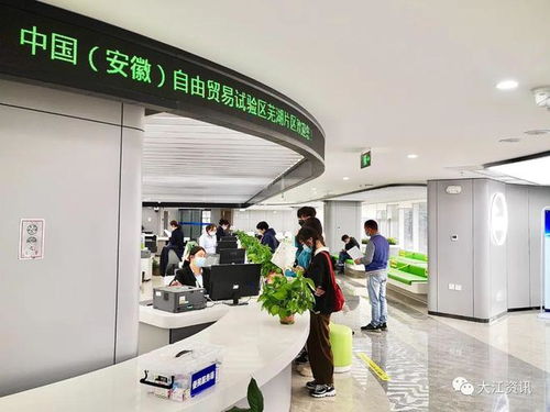 全省十大改革案例 蕪湖入選